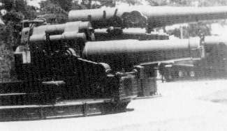 TYPE 7 300 MM IN AMBELE VARIANTE