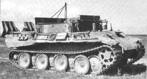 BERGEPANTHER