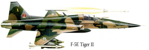brasil-F5E-Tiger-II-Excel-1024