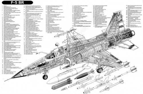 brasil_f-5br-003