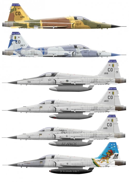 oxygino-f-5-tiger-01brasil