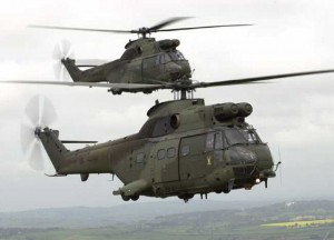 raf_puma