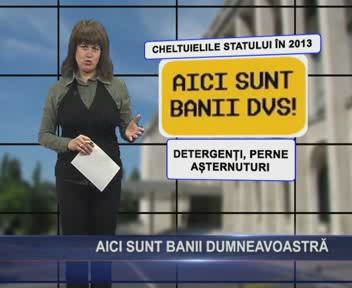 aici sunt banii dvs.flv_snapshot_00.05_[2013.01.26_01.22.11]