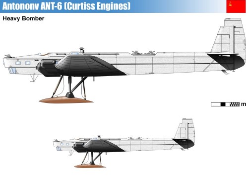 ANT-6 CU MOTOARE CURTISS -GRAFICA