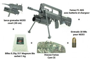 pack_int_gral_famas