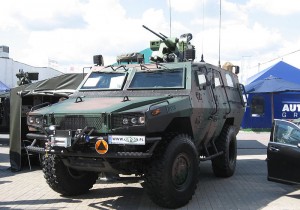 Isimg3593rc2_Zubr