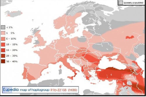 Haplogroup R1b Z2 103