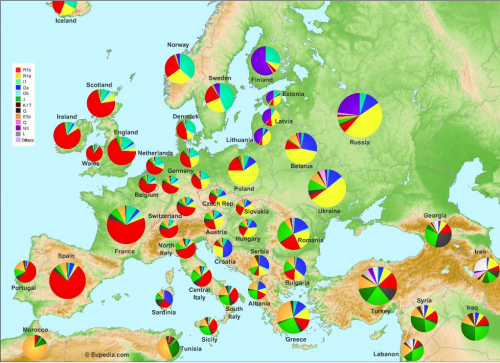 Haplogroups in Europe, pie map