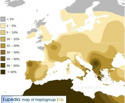 Haplogrup E1b