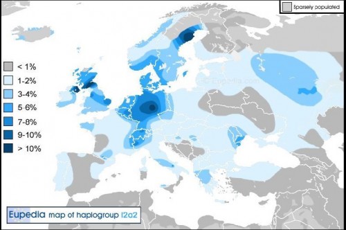 Haplogrup I2a2