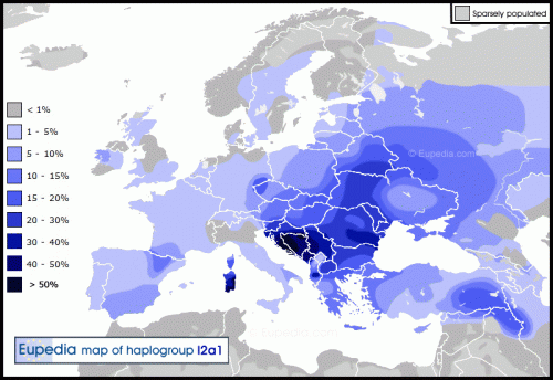 HaplogrupI2A1