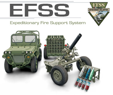 EFSS-Cover