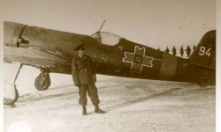 proiectul iar 80 fly again